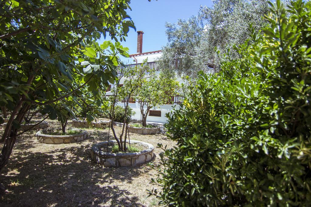 Naftilos Skiathos מראה חיצוני תמונה